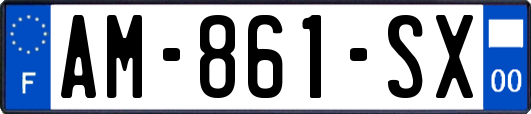 AM-861-SX
