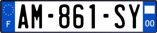 AM-861-SY