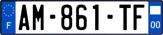 AM-861-TF
