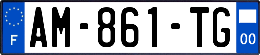 AM-861-TG
