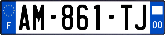AM-861-TJ