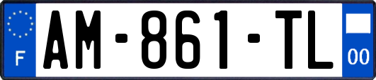 AM-861-TL