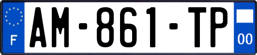 AM-861-TP
