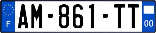 AM-861-TT