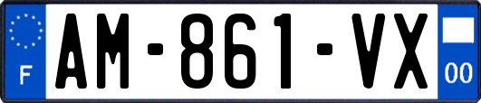 AM-861-VX