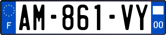 AM-861-VY