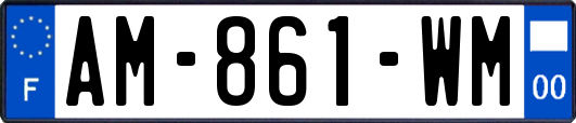 AM-861-WM