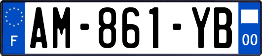 AM-861-YB