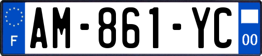 AM-861-YC