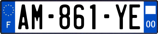 AM-861-YE