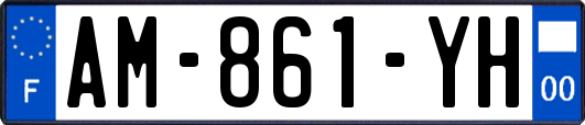 AM-861-YH