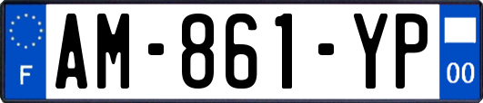 AM-861-YP