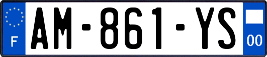 AM-861-YS