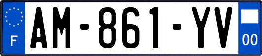 AM-861-YV
