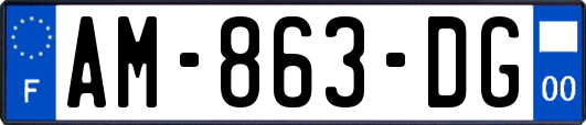 AM-863-DG
