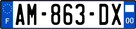 AM-863-DX