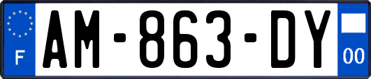 AM-863-DY