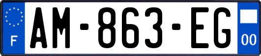 AM-863-EG