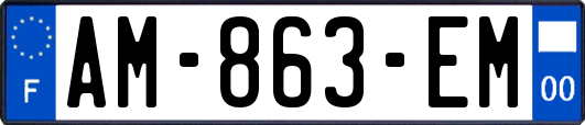 AM-863-EM