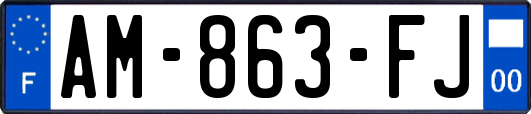 AM-863-FJ