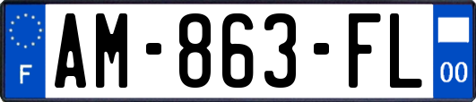 AM-863-FL