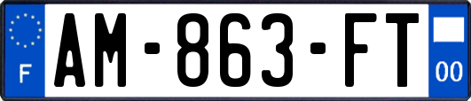 AM-863-FT