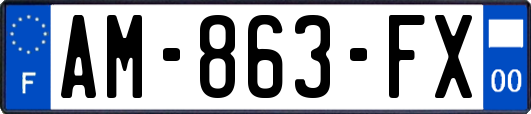 AM-863-FX