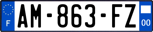 AM-863-FZ