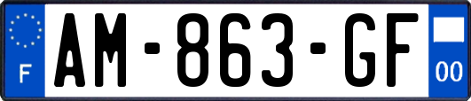 AM-863-GF