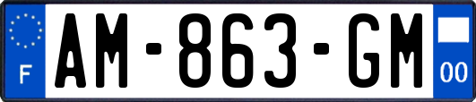 AM-863-GM