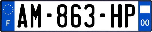 AM-863-HP