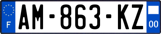 AM-863-KZ