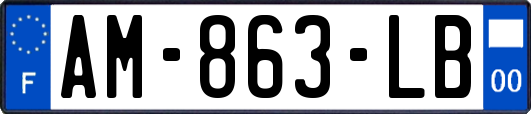 AM-863-LB