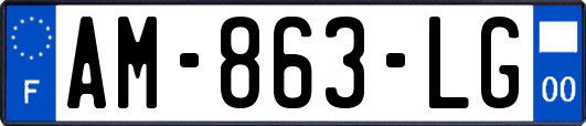 AM-863-LG