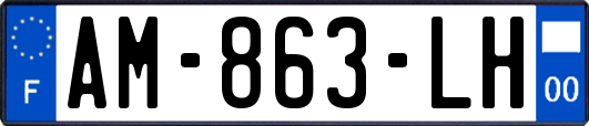 AM-863-LH