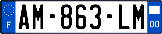 AM-863-LM
