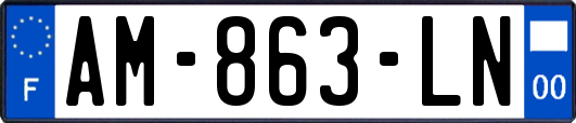 AM-863-LN