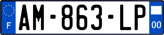 AM-863-LP