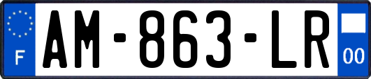 AM-863-LR