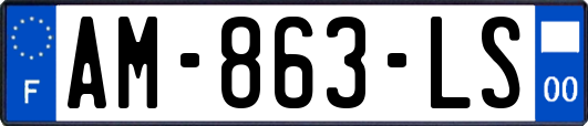AM-863-LS