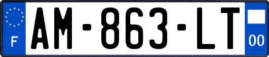 AM-863-LT