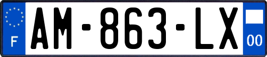 AM-863-LX