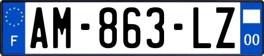 AM-863-LZ