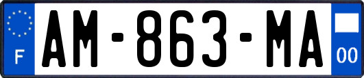 AM-863-MA