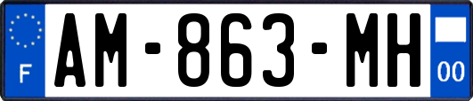 AM-863-MH