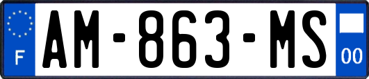 AM-863-MS