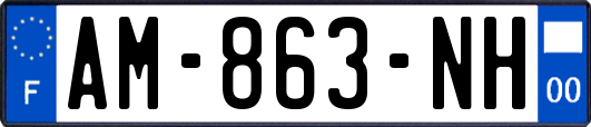 AM-863-NH