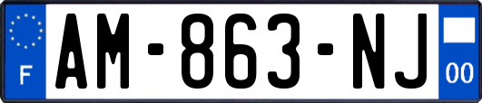 AM-863-NJ