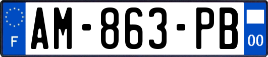 AM-863-PB