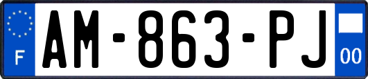 AM-863-PJ